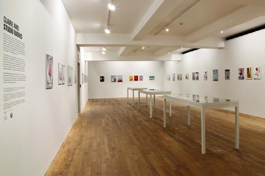 Claire Aho Studio Works TPG London 2013 PHOTO LONDON PARIS PHOTO COLOUR PHOTOGRAPHY AWARD